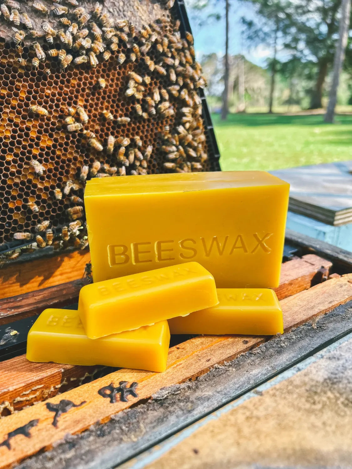 Beeswax Bars Filtered 100% Pure, Hand Poured