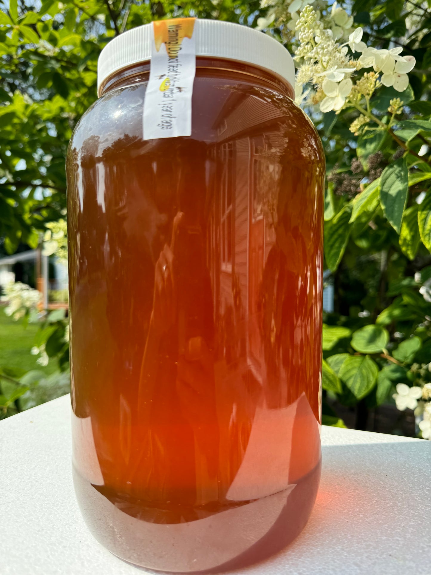 1 Gallon Wildflower Honey, NY State Raw unpasteurized, organic, Delicious Honey FREE SHIPPING!