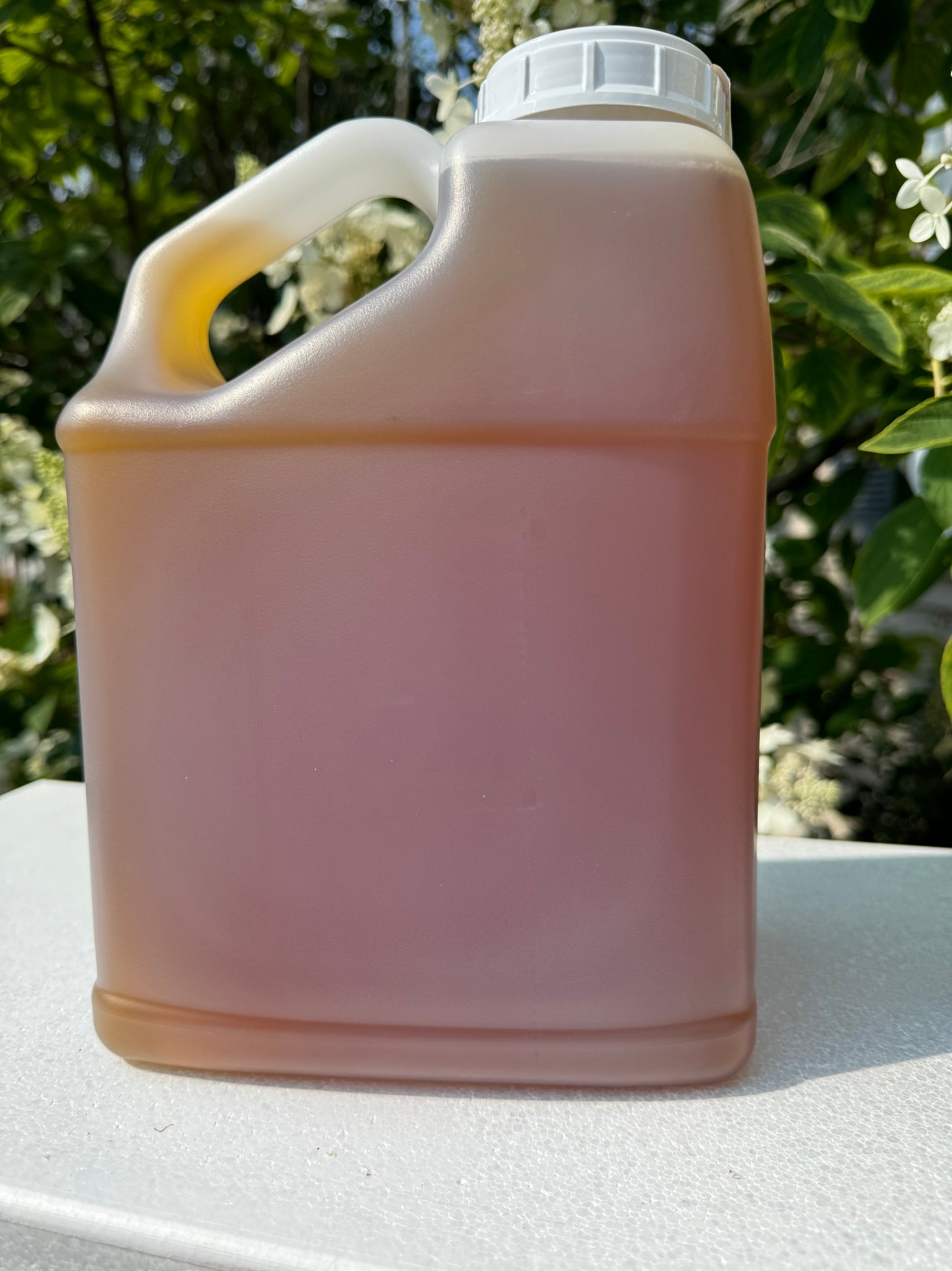 1 Gallon Wildflower Honey, NY State Raw unpasteurized, organic, Delicious Honey FREE SHIPPING!