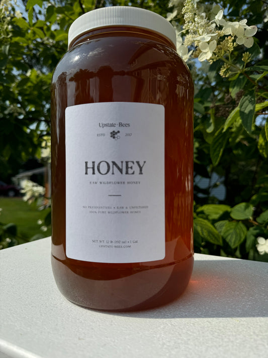 1 Gallon Wildflower Honey, NY State Raw unpasteurized, organic, Delicious Honey FREE SHIPPING!