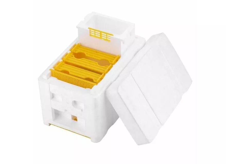 Mini Mating nuc Box Queen Bee Rearing Plastic Styrene Foam box