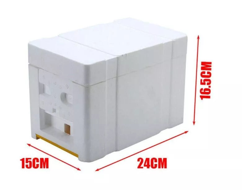 Mini Mating nuc Box Queen Bee Rearing Plastic Styrene Foam box